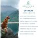 Buy Canine Super Greens by Holistic Bin | Vegan Dog Nutritional Supplement with Marine Phytoplankton Spirulina Chlorella & Fermented Barley Grass for Organic Skin & Coat Support 50g - Buy Online on GoSupps.com
