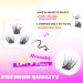 Buy GAQQI GQ03 Lash Clusters - 168PCS C Curl 12MM False Eyelashes for DIY Extensions | Natural Wispy Look - Buy Online on GoSupps.com