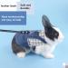Adjustable Soft Rabbit Dishes & Leash Set - Perfect for Rabbits Cats and Guinea Pigs | Size M Blue - Buy Online on GoSupps.com