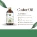 Buy SULU ORGANICS Organic Castor Oil - 16 fl. oz Cold Pressed 100% Pure USDA Certified Hexane Free - International Shipping Available - Buy Online on GoSupps.com