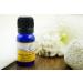 SVATV Wheat Germ Empire Oil - Therapeutic Aromatherapy Oil for Diffusers Yoga & Massage | 10ml Premium Fragrance for DIY Body Care - Buy Online on GoSupps.com