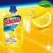 Buy General Universal Fresh Lemon All-Purpose Cleaner - 2 x 750 ml | Best International Shipping for Hygienic Cleanliness - Buy Online on GoSupps.com