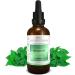 Nettle Tincture 50ml | Urtica Dioica Drops | Premium Vegan Dietary Supplement from Austria | 1:4 Extract - Buy Online on GoSupps.com