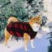 Rbenxia Buffalo Plaid Dog Sweaters 4-Pack | Soft Fleece Vest Pullover for Small Pets | Winter Outfits for Dogs and Cats - Buy Online on GoSupps.com