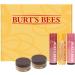 Burt's Bees Lip Care & Color Gifts Kit - Original Beeswax Moisturizing Lip Balm Hibiscus & Red Dahlia Tinted Stain + Balm Duos Conditioning Scrub & Overnight Sleeping Mask Exfoliator - Buy Online on GoSupps.com