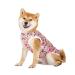 Pet clothing summer t-shirt cool breathable sun protection dog vest clothing outfit for medium-sized and large dogs (XXXL rainbow)