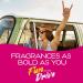 California Scents Hanging Palms Car Air Freshener, Odor Eliminator for Cars & Trucks - 24 Pack - Buy Online on GoSupps.com