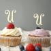 Letter U Wedding Cupcake Toppers Monogram Initial Last Name For Wedding Anniversary Party Decorations Retro Flower Wreath Personalized 26Letters Engagement Gifts 6PCS Style-8 - Buy Online on GoSupps.com