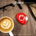 Buy Canderel 300 Tablets (5 x Pack) - Sugar-Free Sweetener for International Shipping - Buy Online on GoSupps.com