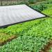 Shade Cloth Aluminum Foil Shading Net Shading Reflective Net Anti-Sunlight 75% Shade Cloth for Garden Flowers (Size : 1x2m) (1x4m) - Buy Online on GoSupps.com