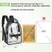 AROUVOG Mini Clear Stadium Backpack - Small Transparent Bag for Sports & Travel (Black) - Buy Online on GoSupps.com