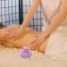 Healvian Thai Spa Massage Compress Ball | Herbal Hot Ball for Athletes | 8.50x6.50cm - International Shipping Available - Buy Online on GoSupps.com