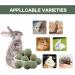 10pcs Barley Ears Chew Toys for Small Animals | Rabbit, Hamster, Guinea Pig | Teeth Grinding & Boredom Breakers - Buy Online on GoSupps.com