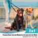 Snocyo Double Dog Leash - Elastic Reflective Retractable for Medium & Large Dogs | Jogging Leash with Handles & Waist Belt in Black & Turquoise - Buy Online on GoSupps.com