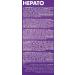 JTPHARMA Hepato Pharma 55 ml - Buy Online on GoSupps.com
