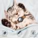 Reflective Airtag Cat Neck Band - Jiarui GPS Collar for Cats & Puppies 9-13 inch - Adjustable with Bell - Orange - Buy Online on GoSupps.com