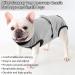 Convinite Recovery Suit for Dogs | Breathable Wound Protection Post-Op Castration | One-Piece Design with Push Buttons | Gray | Ideal for Male & Female Dogs - Buy Online on GoSupps.com