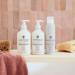Hairitage Down to the Basics Fragrance-Free Conditioner - Chamomile & Sunflower Seed Oil - Ultra-Mild & Moisture Rich for Sensitive Scalps - 13 oz - Buy Online on GoSupps.com