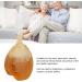 Constipation Relief: Liquid Glycerin Suppositories with Honey | Pack of 6 - 7ML - Buy Online on GoSupps.com