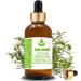 Buy Pure Herbs Savory Summer Hortness Essential Oil (30 ml) - 100% Pure Satureja Hortnesis - International Shipping Available - Buy Online on GoSupps.com