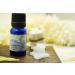 SVATV Essential Apricot Oil - Therapeutic Quality for Yoga Massage Aromatherapy & DIY Body Care - 10ml Camphor Freshener - Buy Online on GoSupps.com