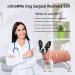 Dog Surgical Recovery Suit XL Stripe Pink | Anti-Licking Pet Vest for Male Female Abdominal Wounds & Skin Diseases | E-Collar Alternative Post Surgery - Buy Online on GoSupps.com