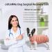 Ouuonno Recovery Suit for Dogs - Surgical Vest for Female Dogs Anti-Licking Animal Jacket with E-Neck Straps (XS Stripes Pink) - International Shipping Available - Buy Online on GoSupps.com