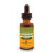 Herb Pharm Bladderwrack Liquid Extract - 1 Ounce (DBLADD01)