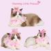 Legendog Princess Cat Bandana and Crown Costume for Cats - Cute Lace Dog Bandana for Small Dogs - Pink Outfit for Birthday Party - Buy Online on GoSupps.com