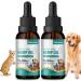 Rirywony - High Potency Hemp Oil for Dogs and Cats - Organic Pet Hemp Oil with Omage 3-6-9 and Vitamins - Supports Joint, Hip and Skin Health - Vegan, Made in USA 2-Pack
