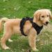 Fullberg dog harness for small medium -sized and large dogs anti -train dishes no pull safety harnesses Dog harness soft padded adjustable breathable black (s)