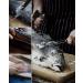 Skyfox Fishing Folding Filleting Knife - G4416 German Stainless Steel Non-Stick Blade & Sharpener - Perfect for Fishing & Hunting - Buy Online on GoSupps.com