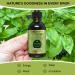 Adrenal Edge Liquid Drops - Energy & Cortisol Manager Supplement for Men & Women - Non-GMO, Gluten Free - 60ml - Buy Online on GoSupps.com