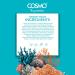 Cosmo Skin Care Temptation Sea Minerals Shower Scrub 1000ml/33.81fl.oz Body Cleansing Skin Exfoliate Remove Impurities & Dead Cells Best Body Wash Daily Use Shower Gel All Skin Types - Buy Online on GoSupps.com