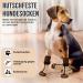 Eyein Double-Sided Anti-Slip Dog Socks - 3 Pairs of Soft Adjustable Velcro Paw Protection for Hardwood Floors - Brown Size M - Buy Online on GoSupps.com