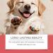 Set of 5 dog-safe nail polishes Waterproof and quick-drying Non-toxic grooming polish with vibrant colors for puppies kittens small and large breeds perfect for - Buy Online on GoSupps.com