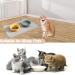 Cat Food Mat Dog Food Mat Pet Food Mat Cat Feeding Mat Cat Mat Silicone Waterproof Mat Food Mat Non-Skid Spill Proof Pet Feeding Mat for Food and Water Easy to Clean Mat Placemat - Buy Online on GoSupps.com
