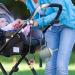 Buy Holdes Dark Gray Stroller Toy Belts | Adjustable Silicone Bapal Belt & Food Catcher Clip - Buy Online on GoSupps.com