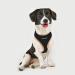 Puppia Black S Dog Harness - Small - Buy Online on GoSupps.com