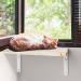 BEBOBLY Floating Cat Wall Shelves and Perch | Modern Hanging Hammock Bed for Indoor Cats | Wall Mounted Kitten Furniture for Sleeping and Playing - Buy Online on GoSupps.com