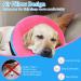 FWLWTWSS Inflatable Dog Collar - Adjustable Velcro Leak Protection for Post-Op Recovery - Pink XL (Neck: 45.7cm-63.5cm) - Buy Online on GoSupps.com