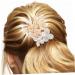 Healeved Silver Hair Comb Pearl Hair Accessories Wedding Hair Accessories for Women Hair Accessory for Women Bride Hair Side Comb Wedding Hair Comb Wedding Hair Side Comb Hair Pin Metals - Buy Online on GoSupps.com