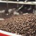 Marterm hle Marterm hle I Espresso Crema Roma I 500g I Whole Espresso Seeds I Premium Espresso Seeds from Brazil & India I Blow I Low Acid Coffee Beans I 40% Arabica 60% Robusta - Buy Online on GoSupps.com