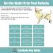 CuteBone Dog Bikini 2-Pack Swimsuit for Small Dogs - Girl Costume Beach & Fruits Theme - Buy Online on GoSupps.com