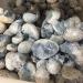 1PC Random Natural Raw Blue Celestite Quartz Crystal Cluster Stones Specimen Home Decoration Crafts Ornament Druzy Geode FZUGEDRLI (Size : 1pc Random 20 50g) - Buy Online on GoSupps.com