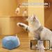 Pumpkii Home Robot Pet Camera with Treat Dispenser, App Control, 2-Way Audio, 1080P HD Camera, Night Vision | Interactive Cat Dog Toy - Buy Online on GoSupps.com