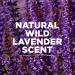 Tom's of Maine Wild Lavender Natural Deodorant for Women 2.25 oz, 3-Pack - Buy Online on GoSupps.com