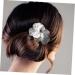 FRCOLOR Golden Hair Comb Hair Accessories for Women Flower Headpiece Side Hair Comb with Floral Pattern Hair Accessories for Women Wedding Hair Side Comb Flower Hair Side Comb Bridal Hair Comb - Buy Online on GoSupps.com