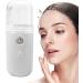Mister Face Moisturizer - Mister Face Moisturizer Nano Mist Sprayer | Nano Atomization with 30ml Visual Water Reservoir Refillable Cool Face Spray Suitable for Skin Care - Buy Online on GoSupps.com