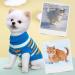 Shop Lynine Blue Striped Dog Sweater Warm Soft Comfortable Knit Sweater for Small Dogs & Cats Perfect Winter Apparel - Buy Online on GoSupps.com